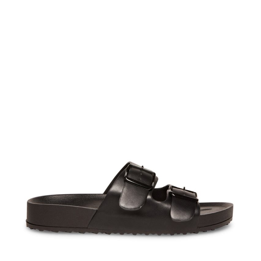 Black Steve Madden Teddy-t Women's Slides | PH 6075ZQW